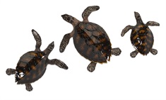 Swanson Sea Turtle