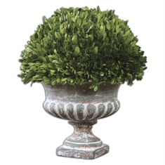 Uttermost Preserved Boxwood Garden Urn
