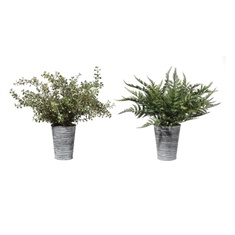 Uttermost Quimby Potted Ferns Set/2