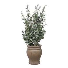 Uttermost Tassos Potted Olive