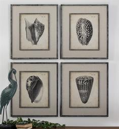 Vintage Diderot Shells Art Set/4