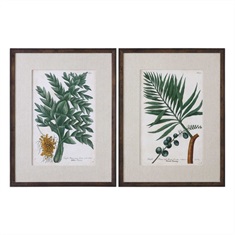 Vintage Tropicals Floral Prints S/2