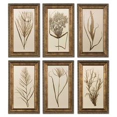 Wheat Grass Framed Art Set/6