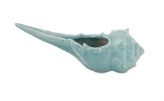 Whelk Shell Planter