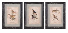 Woodland Bird Wall Décor - Ast 3